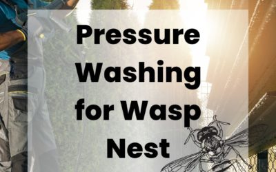 Pressure Washing for Wasp Nest Removal